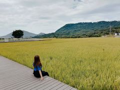 -艾米稻香小镇