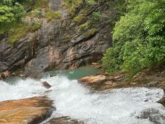 -广州白江湖森林公园