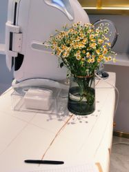 点击看大图 -YESIDO椰岛美容