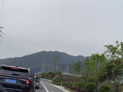 -杨家堂村