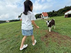 -济州森林小火车生态公园