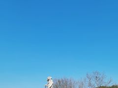 -蠡湖中央公园