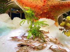 -锤头鲨毛肚海鲜烤肉自助餐厅(国购广场店)