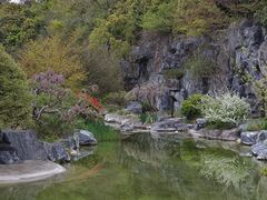 -上海吴淞炮台湾国家湿地公园