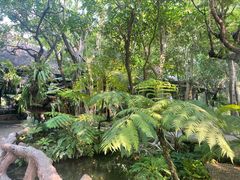 -Chom Cafe and Restaurant