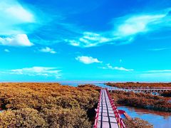 -北海金海湾红树林生态旅游区
