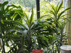 -太守宴·蘭院(天塔店)