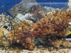 -秦皇岛新澳海底世界