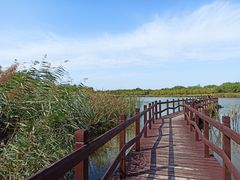 -西青郊野公园