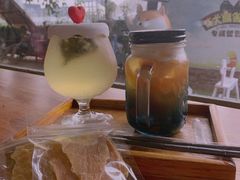 柠檬茶-柴犬高等学院·狗咖·柴犬售卖·宠物训练