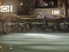 -深业半汤御泉庄温泉