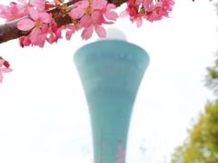 -狐尾山公园