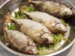 -丰尔粥食·粥底火锅·桑拿鸡(大良总店)