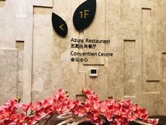 -艺厨风尚餐厅 · 桔钓沙莱华度假酒店