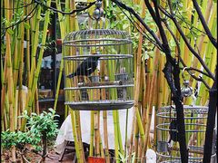 -新竹里馆·花园餐厅(兴苑路店)