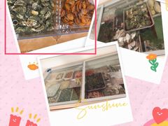 -海之鲜大排档(东山海鲜金銮湾店)
