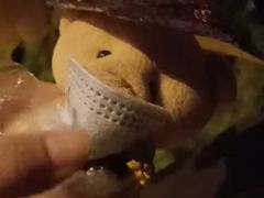 -成都中医药大学(温江校区)