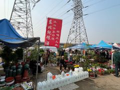 -中环花鸟鱼虫市场