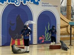 -秦皇岛乐岛海洋王国