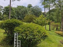 -云溪植物园