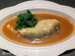 -沈灶河豚宴·河豚融合餐厅(汉中路店)