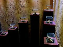 -MOJO密室逃脱(中街旗舰店)