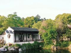 -八大山人梅湖景区