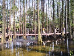 -东湖落雁景区