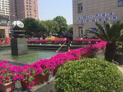 -复旦大学附属肿瘤医院(徐汇院区)