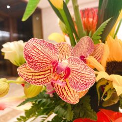 -钓鱼台大酒店宴会厅
