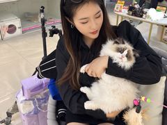 -lincat·猫舍(广州店)