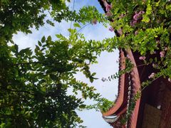 -武汉园博园(武汉自然博物馆)