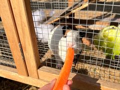 -HERRE·FARM 赫尔露营农场·团建聚会包场