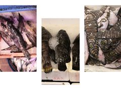 -芦潮港集贸市场