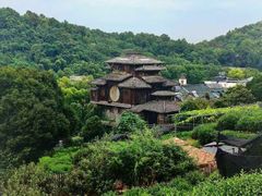 -野蔓果·山野菜(西湖景区·龙井茶田店)