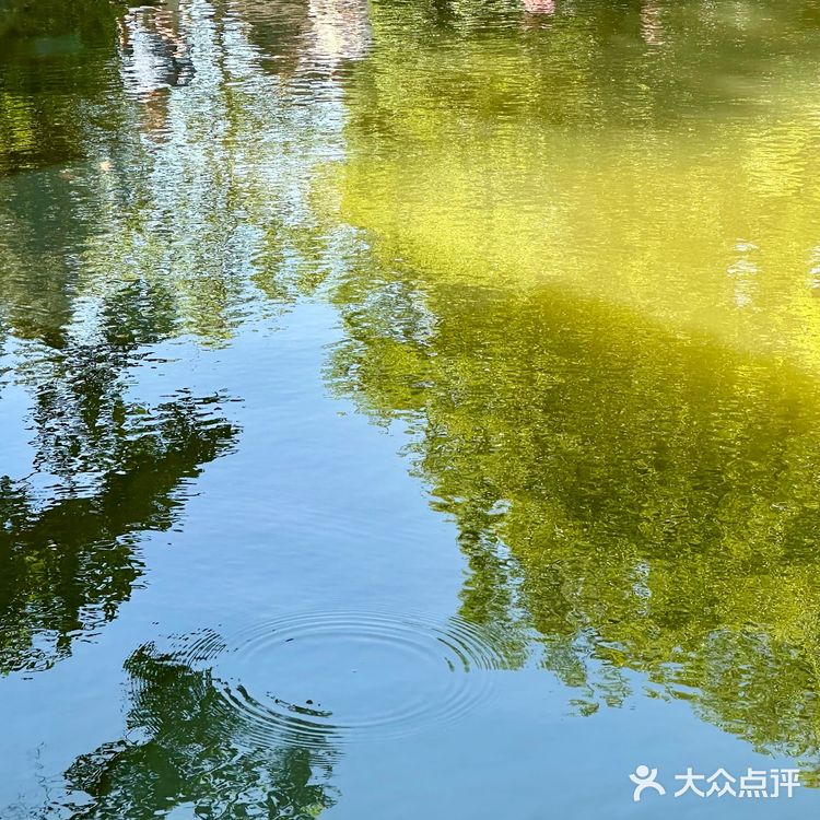 我在惠山古镇园林里面喝咖啡☕️看锦鲤