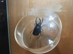 -陕西自然博物馆