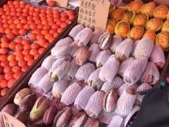 -红星农博物流中心