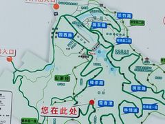 -中山市树木园