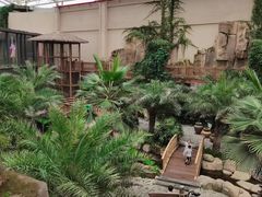 -杭州开元森泊度假乐园