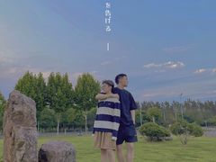 -合肥滨湖国家森林公园