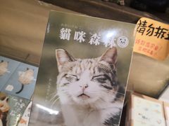 -猫咪博物馆(顶澳仔猫街店)
