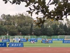 -武汉大学-樱园