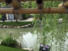 -溧阳天目湖天沐温泉