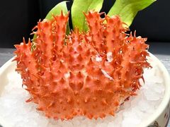 -尚居日料·和牛寿喜烧自助(市府恒隆广场店)