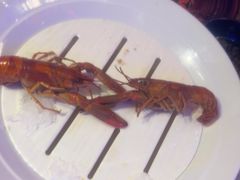 -红盔甲·小龙虾(车公庙店)