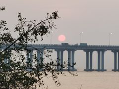 -宝安西湾红树林湿地公园