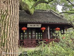 -上海醉白池公园
