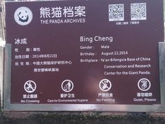 -都江堰中华大熊猫苑