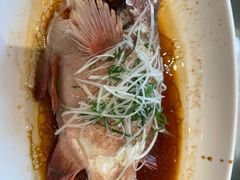 -大东海海鲜酒楼(渔人码头总店)